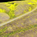 Surface Mapping
